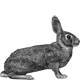 science park rabbits tribute